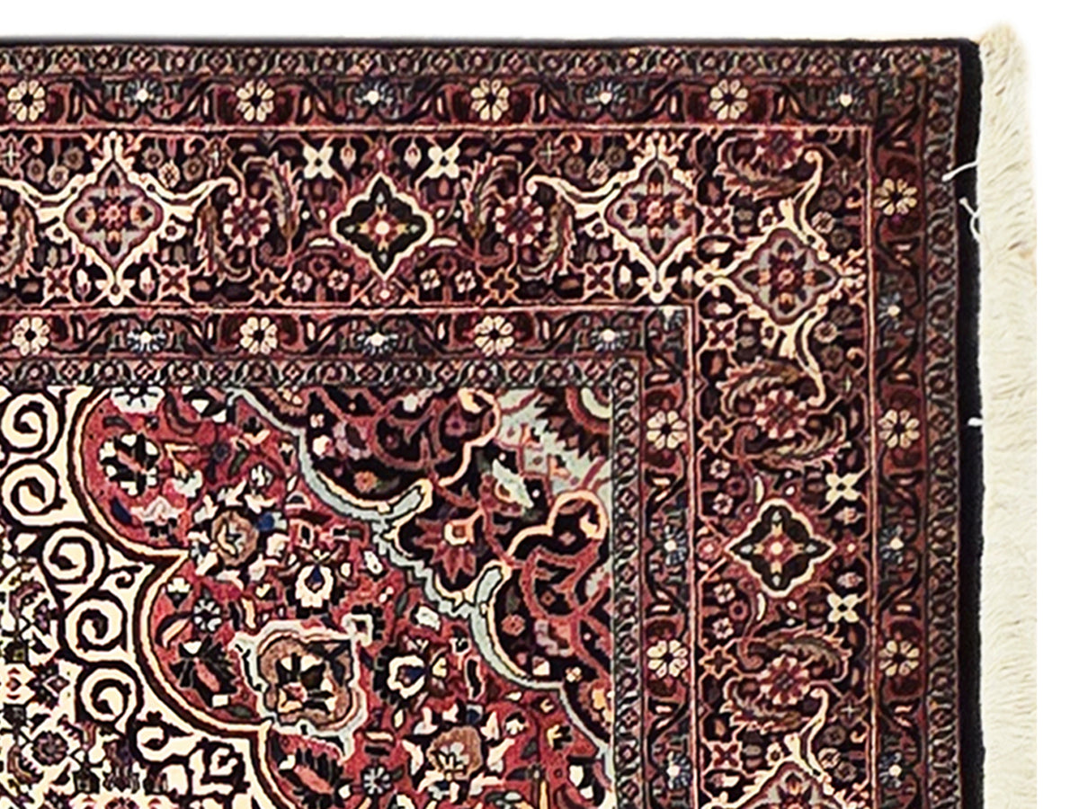 Bidjar rug border close-up with red, cream, and dark ornamental motifs