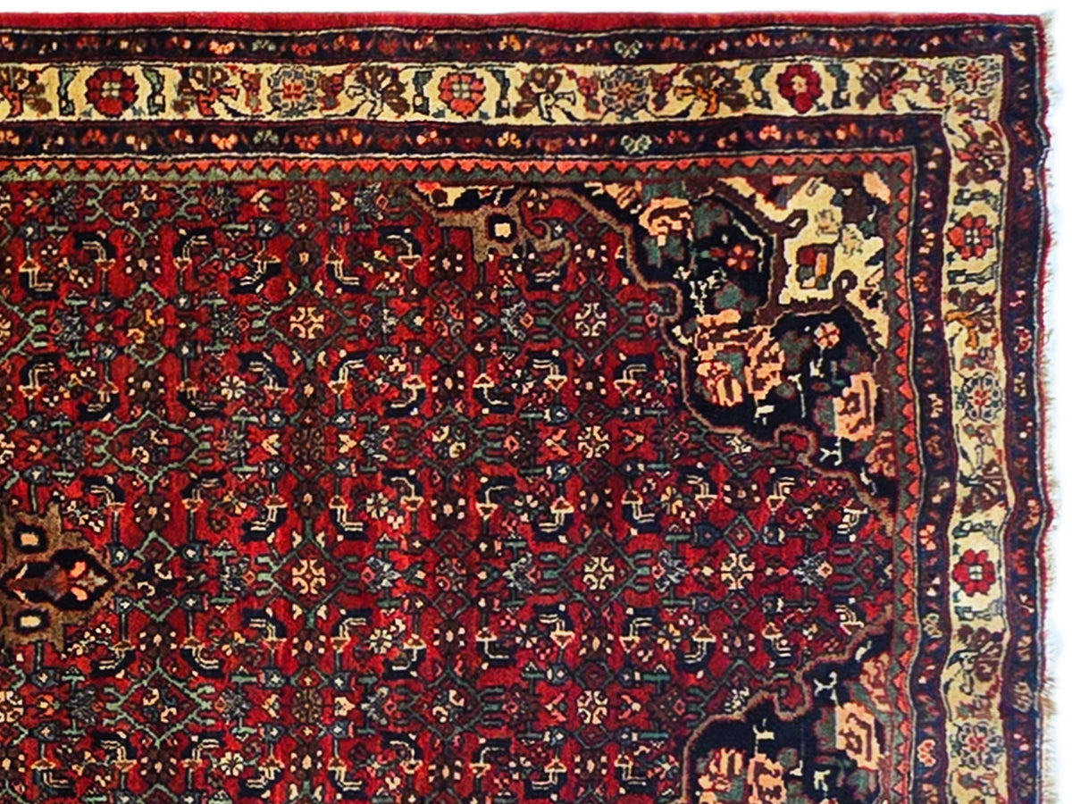Bidjar rug pattern detail, red field with cream vine border and dark navy edge trim
