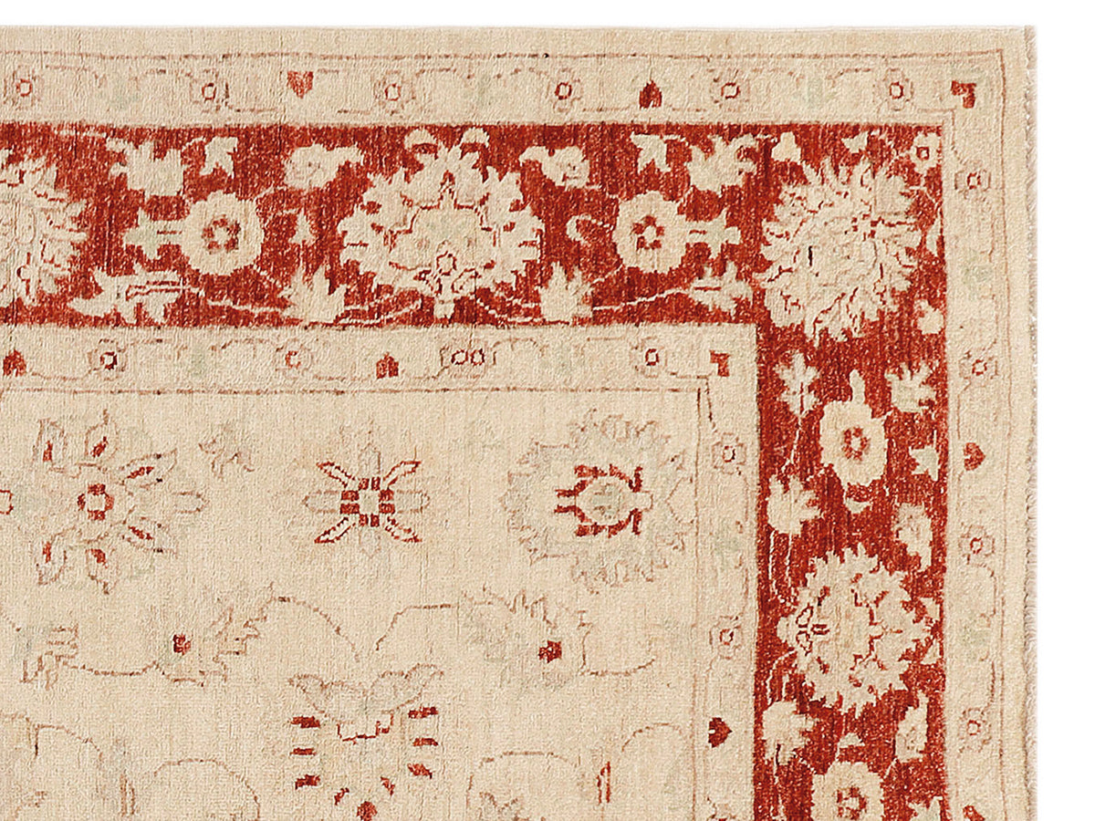 Ziegler Afghan rug close-up of red border trim on a cream background