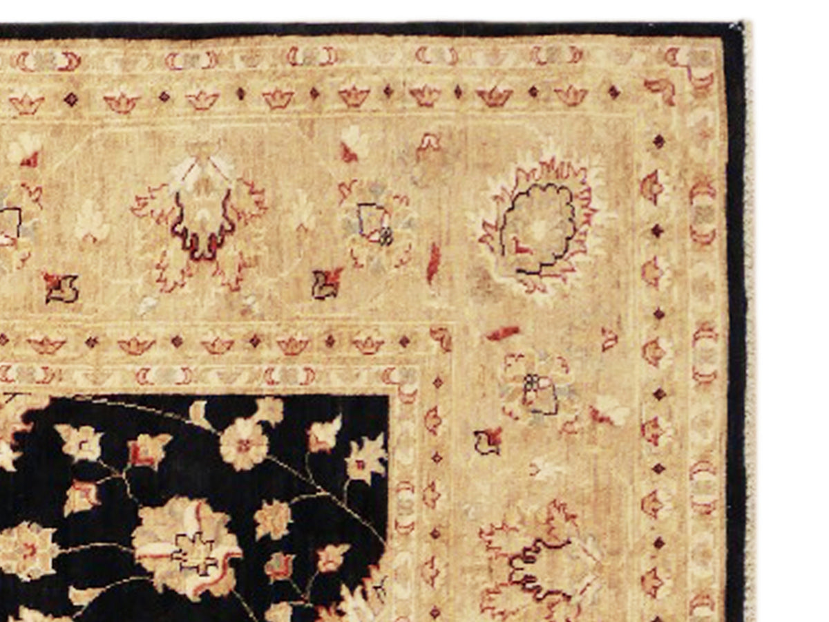 Close-up of Afghan rug corner: beige ground with small red ornaments and black border.
