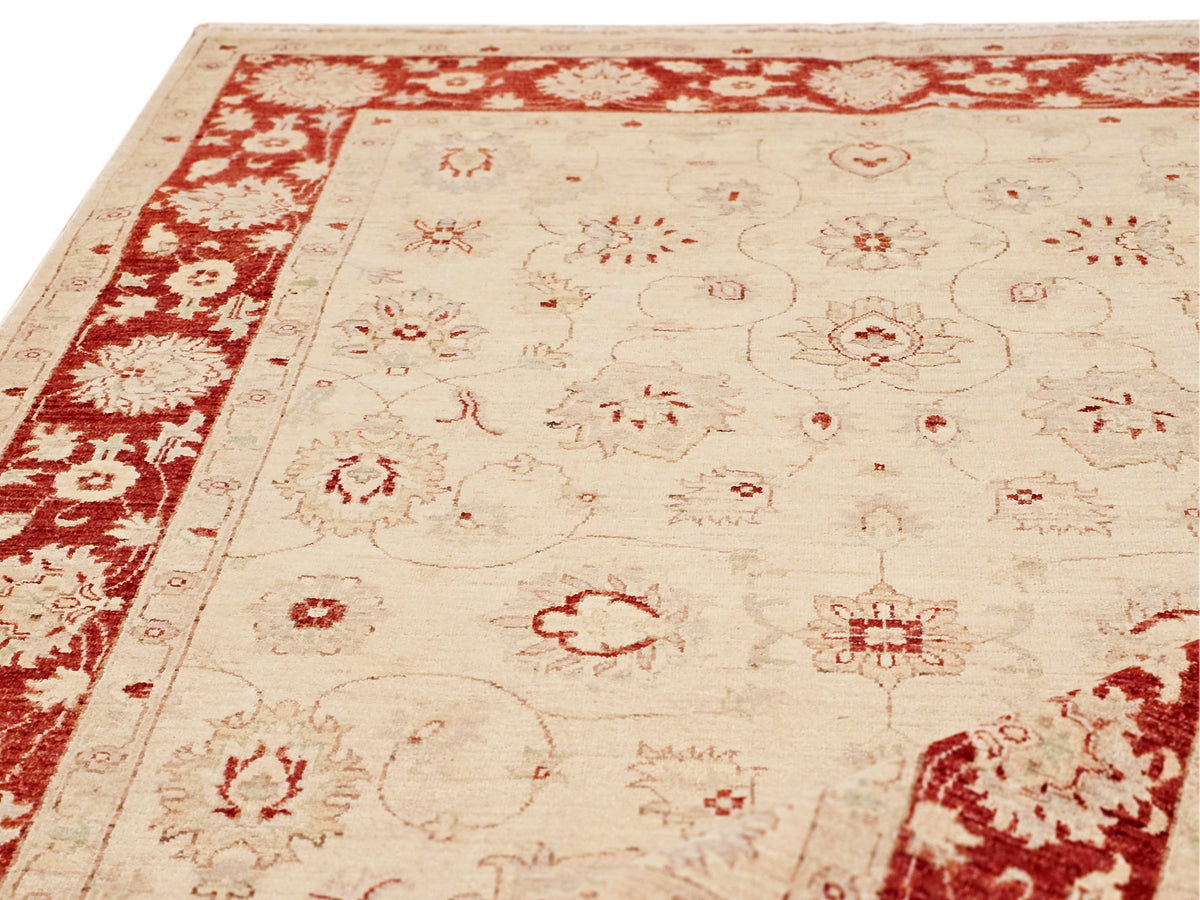 Ziegler Afghan rug close-up, cream field with red corner band and small motifs