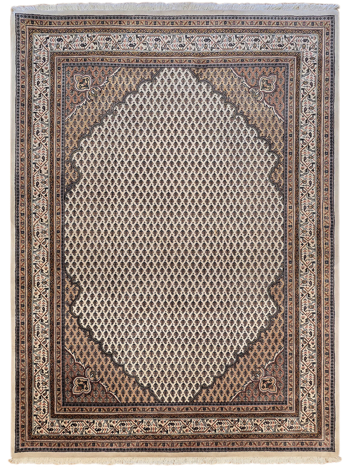 Geometric ornamental area rug with dark brown center, ivory lattice, and patterned border