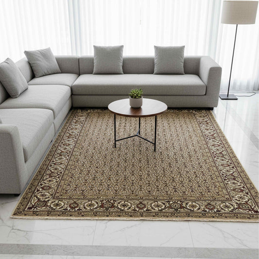Beige Persian-style area rug with ornate border and dark geometric medallions