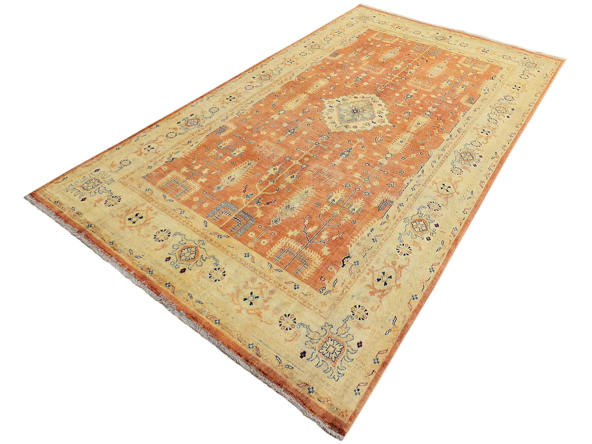 Terracotta orange area rug with central medallion and cream ornamental border