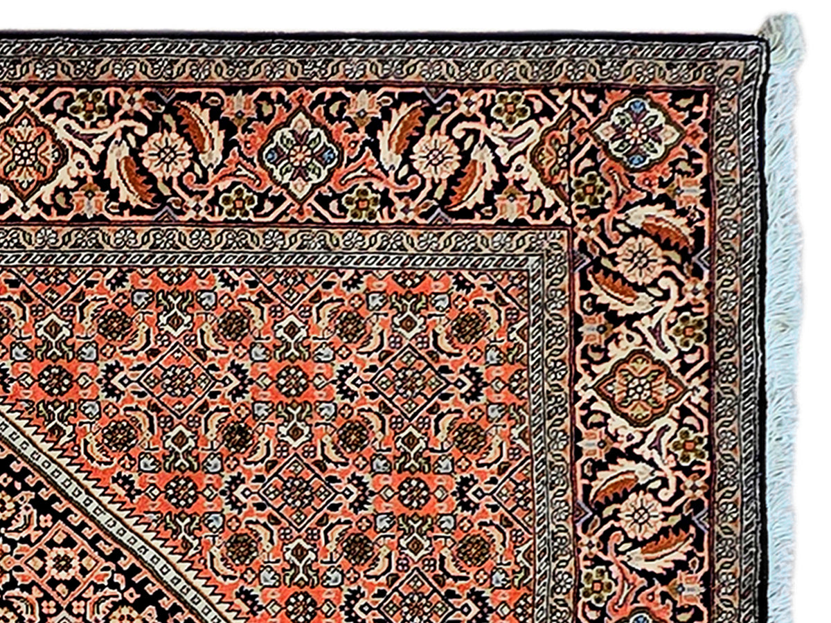 Rust, black and beige ornate area rug with detailed border and light blue fringe.