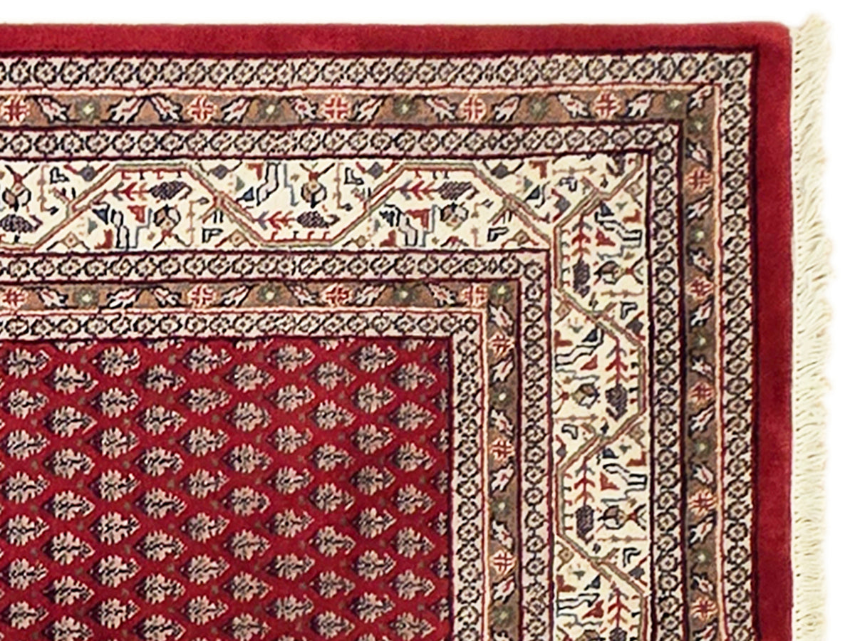 Red area rug with ornate cream and dark border, fringed edge detail.